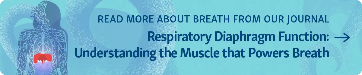 Button: Read more about breath from our journal "Respiratory Diaphragm Function: Understanding the Muscle that Powers Breath